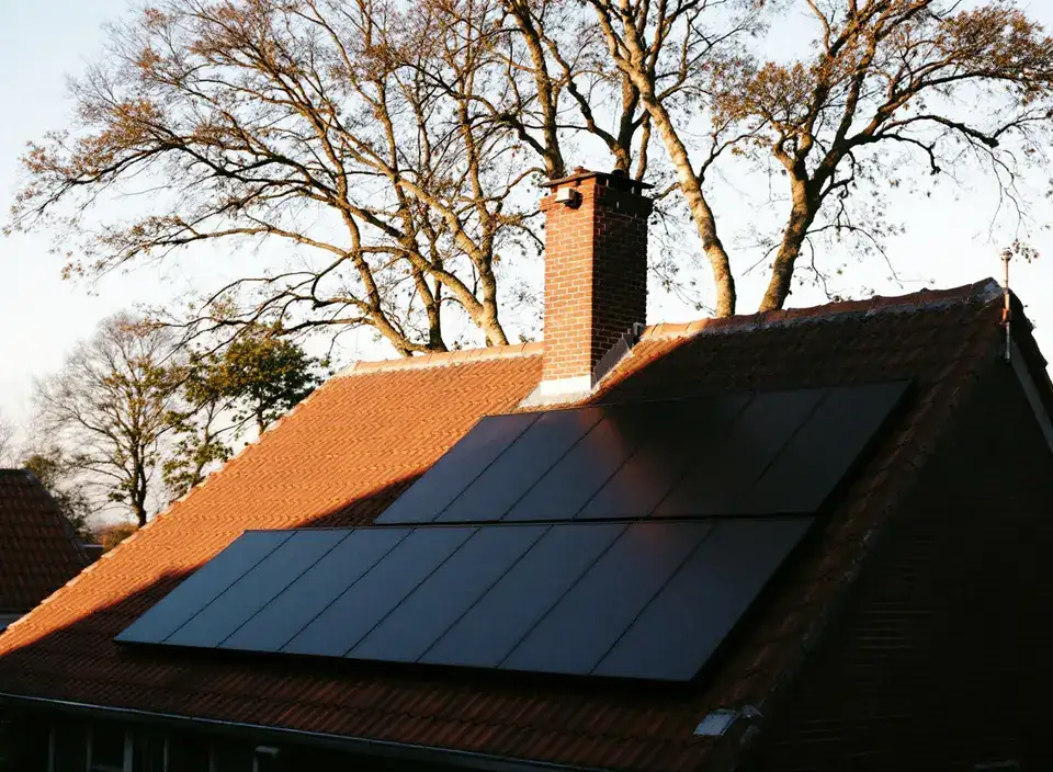 Een oranje pannendak vol zwarte zonnepanelen in de late middagzon, met een schoorsteen en hoge bomen erachter